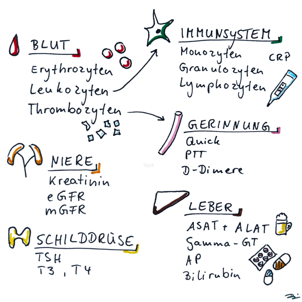 Blutwerte und Tumormarker bei Krebs Krebs Campus