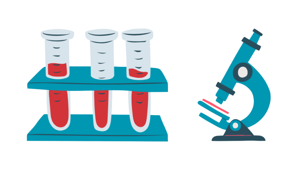 Welche Blutwerte Deuten Auf Krebs Hin krebscampus.org