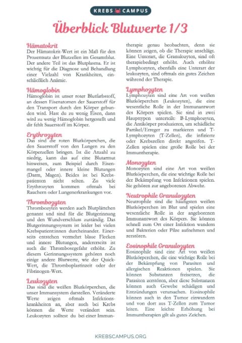 Welche Blutwerte Deuten Auf Krebs Hin krebscampus.org